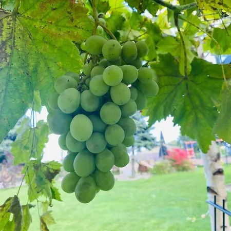 My ホテル シュイルドー