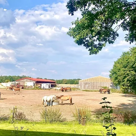 My 3* Шильдов