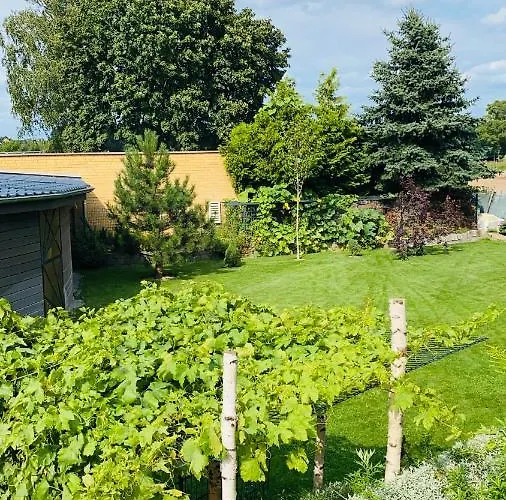 Hotel My Schildow 3*