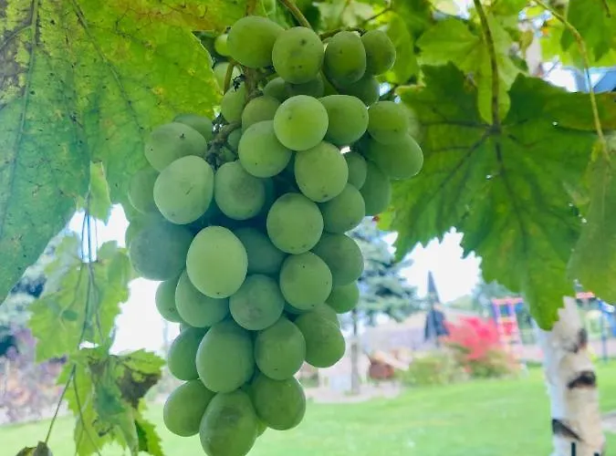 Hotel My Schildow Hotel Schildow